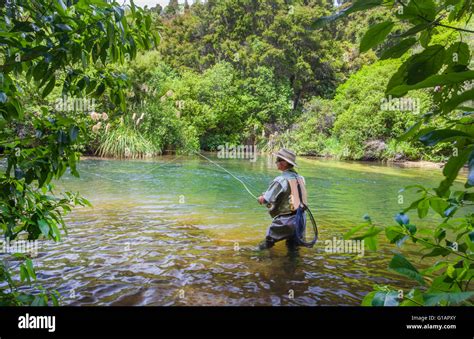 taupo fishing license|Lake Taupo Fishing and Angling .